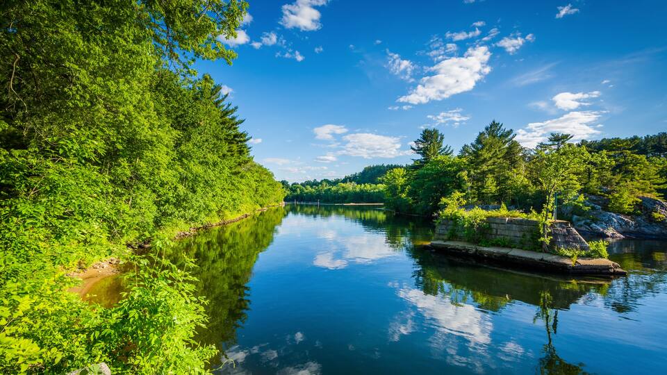 A calm river surrounded by lush greenery and a clear blue sky.