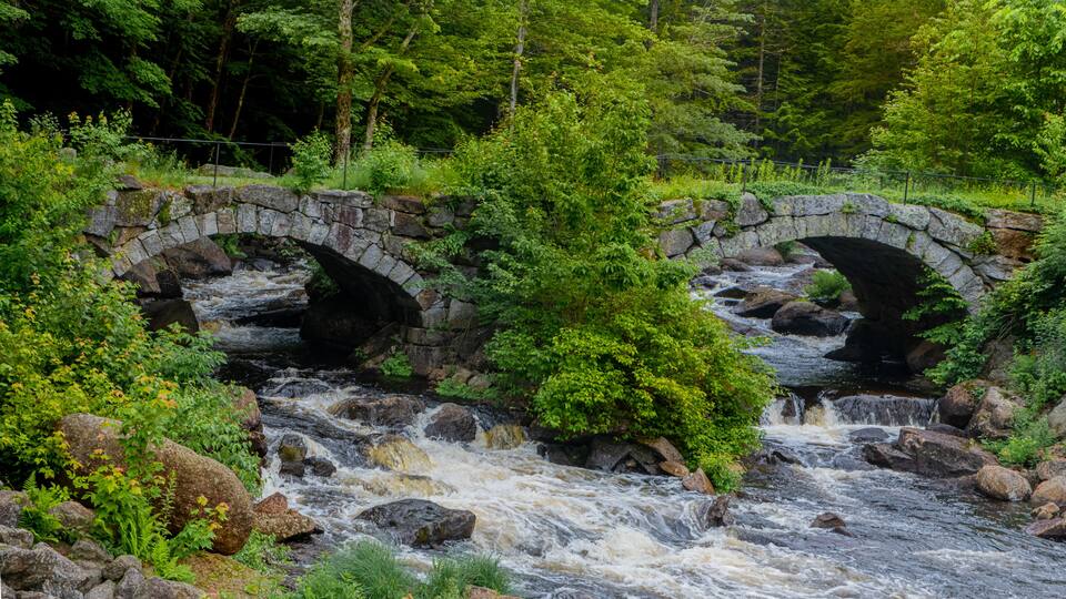 A stone bridge over a flowing river surrounded by lush greenery.
