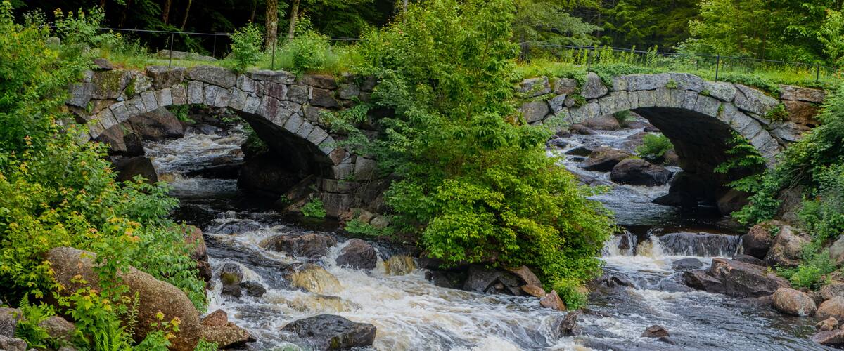 A stone bridge over a flowing river surrounded by lush greenery.