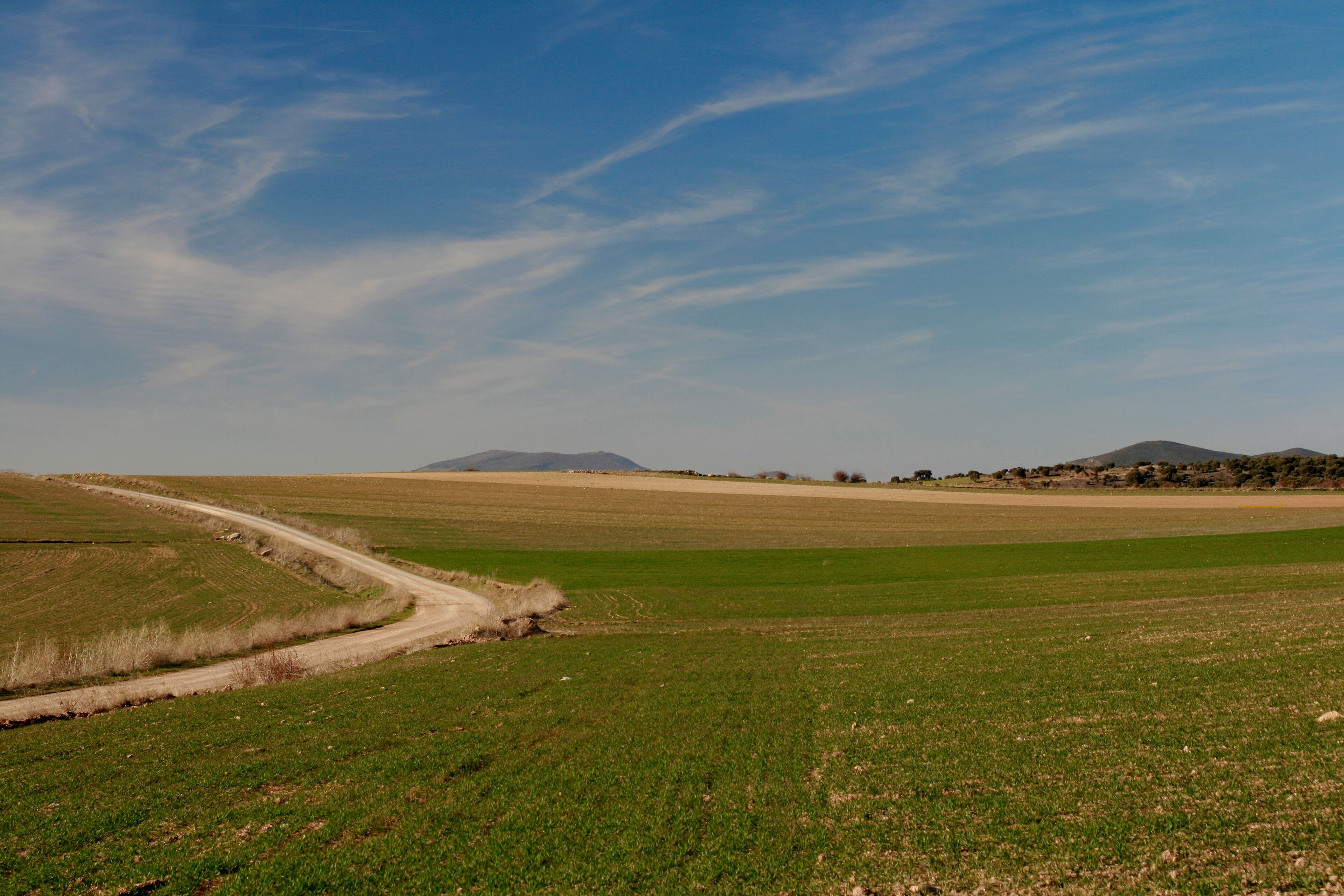 Campos de cultivo en la provincia de Soria.