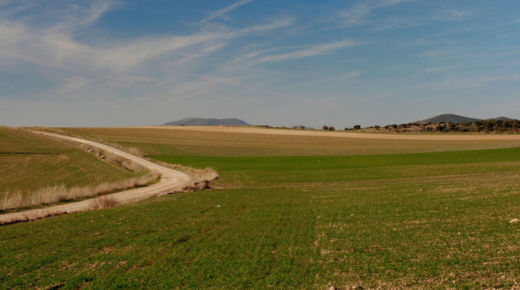 Campos de cultivo en la provincia de Soria.