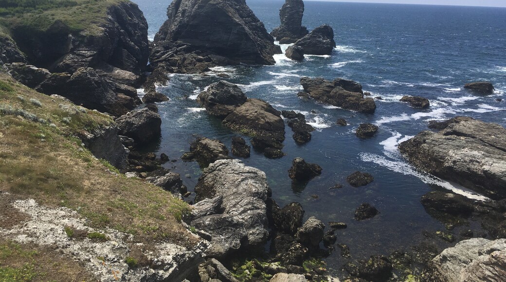 A wonderful point of view
Must to see
#nature
#france
#belle-île
