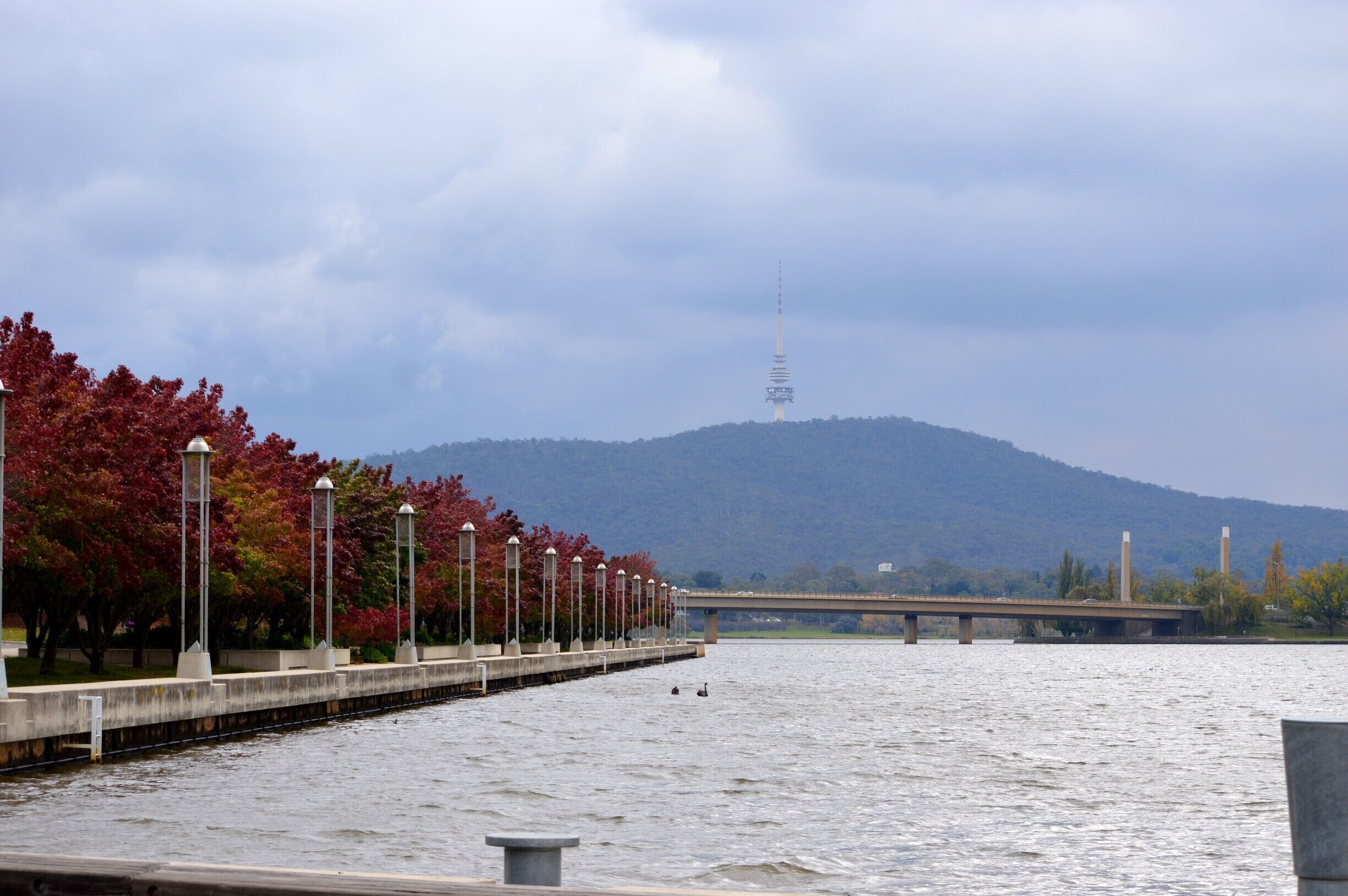 CRUISING DOWN LAKE BURLEY GRIFFIN with Canberra Lake Cruises
Located just down the road from Questacon and right by the International Flags and Segways, this quaint little boat is nice and easy to locate.
A 1 hour family friendly cruise is a great experience and a different take on some of the National Icons. The cruise captain provides an informative commentary. The kids are kept amused by the pirate treasure chest complete with dress ups and they also have chance to steer the boat. At the end of their turn of helping to steer the boat, the Captain presents them with a certificate and a lolly pop. 
Canberra Lake Cruises are also extremely reasonable in price. Adults $16pp and Children at only $8pp (family of 4, just $48). There is also complementary tea and coffee on board.
This is a lovely activity to do and our family enjoyed our experience. 
‪#‎Canberra‬#LakeBurleyGriffin#Cruising