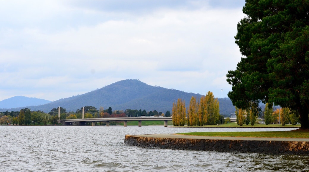 CRUISING DOWN LAKE BURLEY GRIFFIN with Canberra Lake Cruises
Located just down the road from Questacon and right by the International Flags and Segways, this quaint little boat is nice and easy to locate.
A 1 hour family friendly cruise is a great experience and a different take on some of the National Icons. The cruise captain provides an informative commentary. The kids are kept amused by the pirate treasure chest complete with dress ups and they also have chance to steer the boat. At the end of their turn of helping to steer the boat, the Captain presents them with a certificate and a lolly pop.
Canberra Lake Cruises are also extremely reasonable in price. Adults $16pp and Children at only $8pp (family of 4, just $48). There is also complementary tea and coffee on board.
This is a lovely activity to do and our family enjoyed our experience.
#Canberra#LakeBurleyGriffin#Cruising