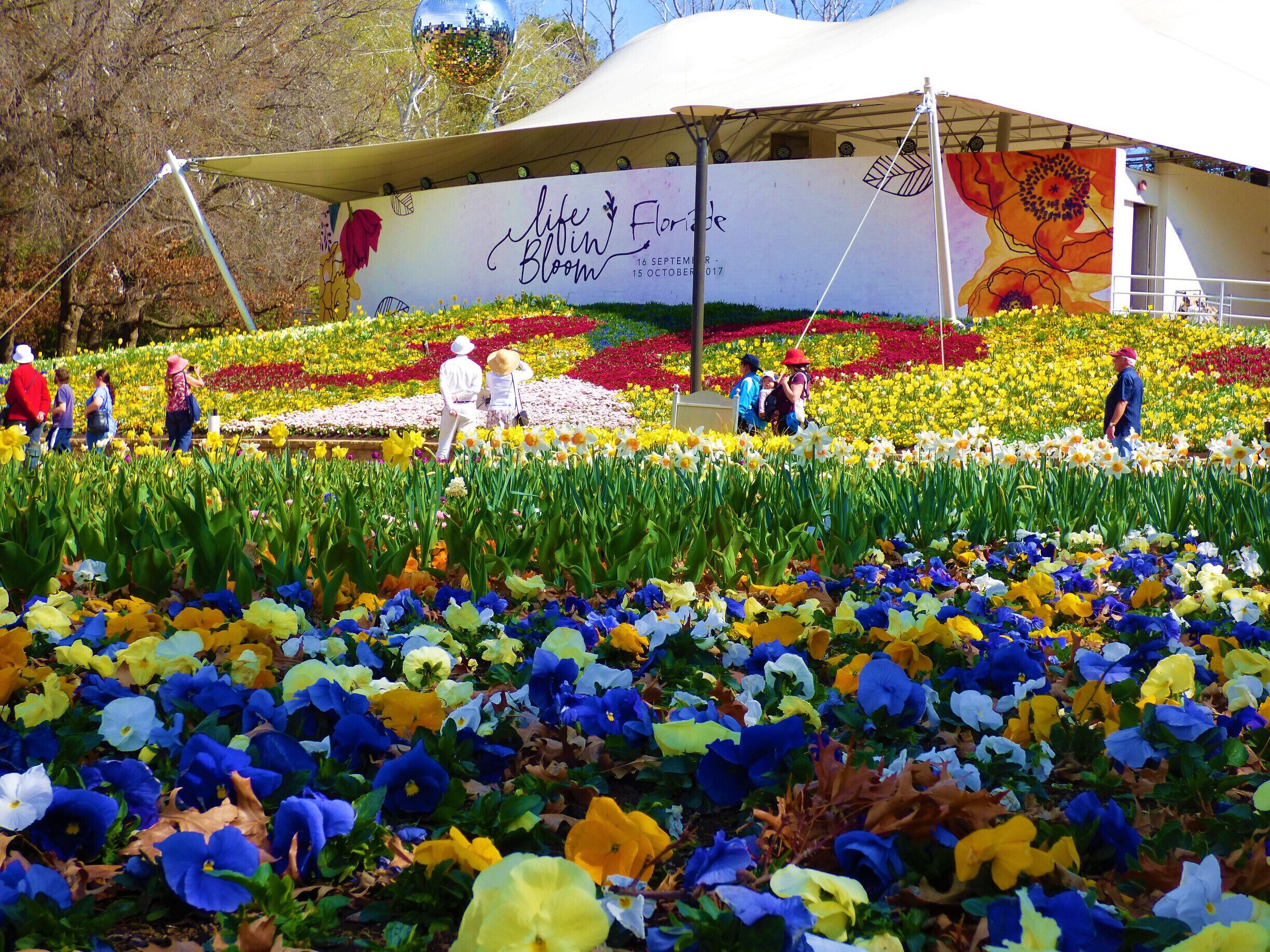 Floriade 30th Anniversary 2017, Canberra Australia
#UrbanJungle
