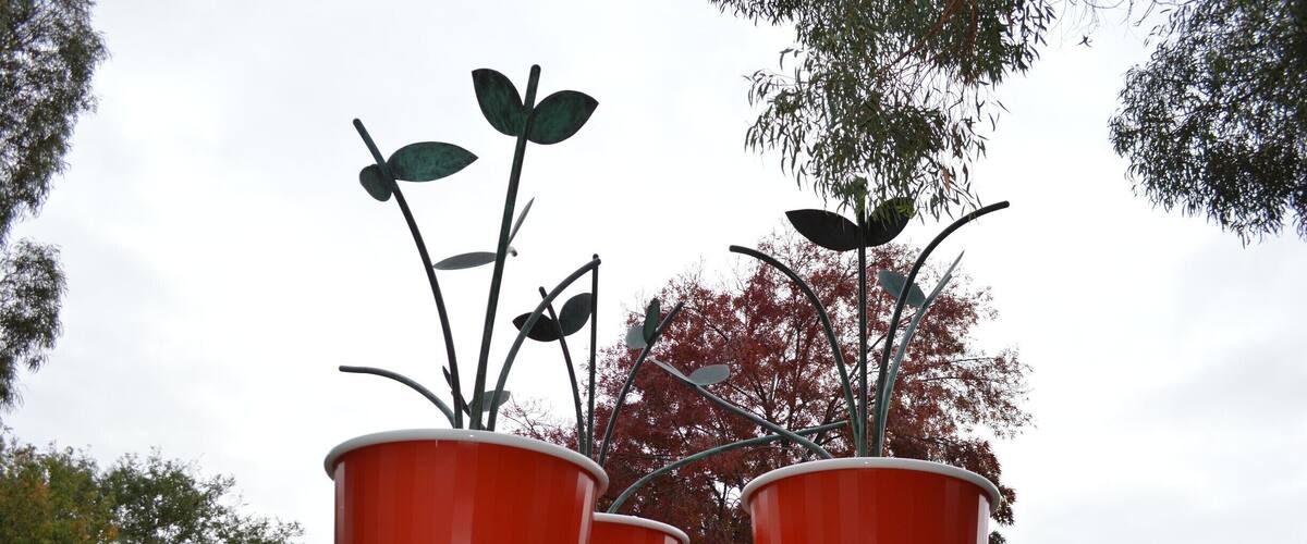 LET THE CREATIVE JUICES FLOW IN CANBERRA.
It seems that Canberra has the creative edge.
From driving the streets to walking through gardens, there is something to admire and appreciate.
With pockets of new housing developments (architecturally designed) to sculptures and works of art, not to forget all the memorials around this fine city… Canberra has it all and more.
I loved the giant pot plants outside the Beaver Gallery.
#Canberra#sculptures#art#appreciation