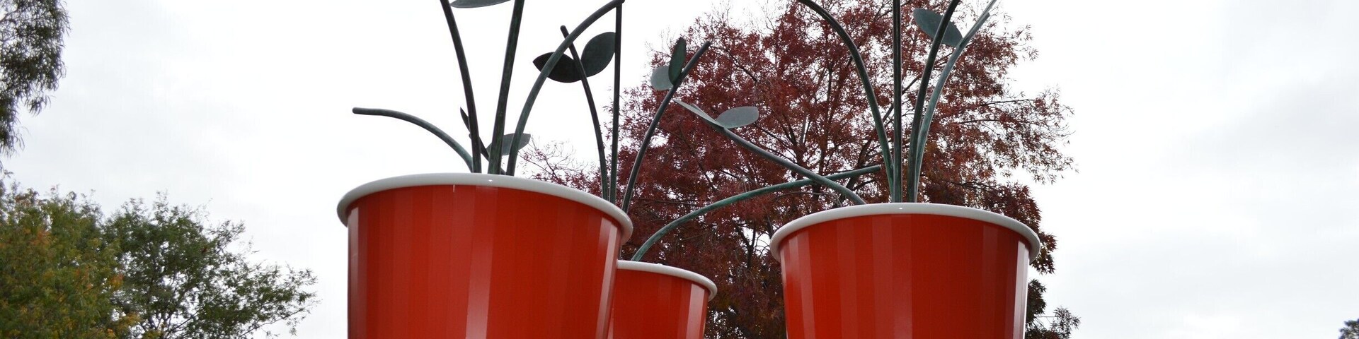 LET THE CREATIVE JUICES FLOW IN CANBERRA.
It seems that Canberra has the creative edge.
From driving the streets to walking through gardens, there is something to admire and appreciate.
With pockets of new housing developments (architecturally designed) to sculptures and works of art, not to forget all the memorials around this fine city… Canberra has it all and more.
I loved the giant pot plants outside the Beaver Gallery.
#Canberra#sculptures#art#appreciation