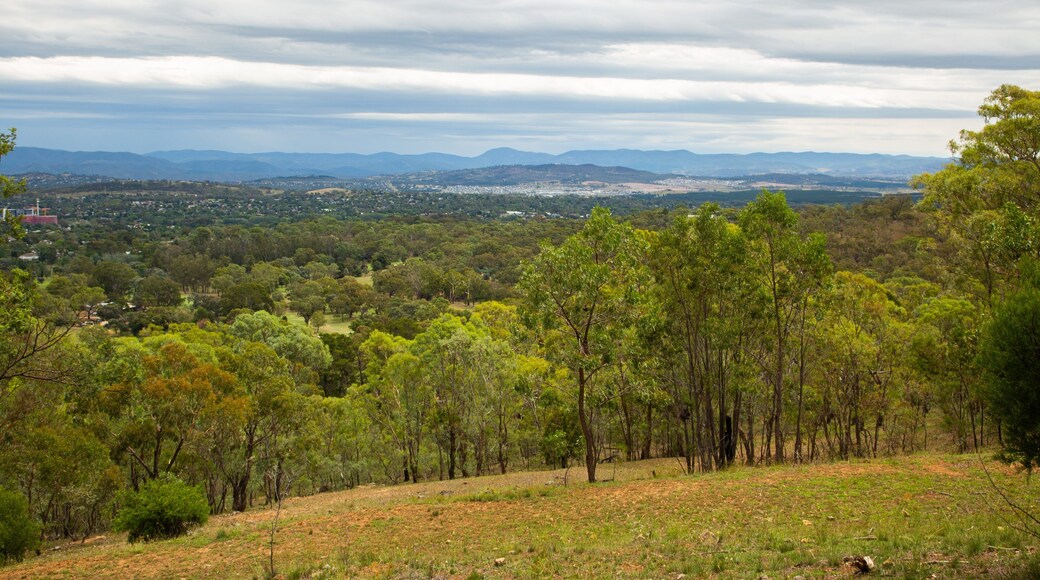 Red Hill featuring landscape views and tranquil scenes