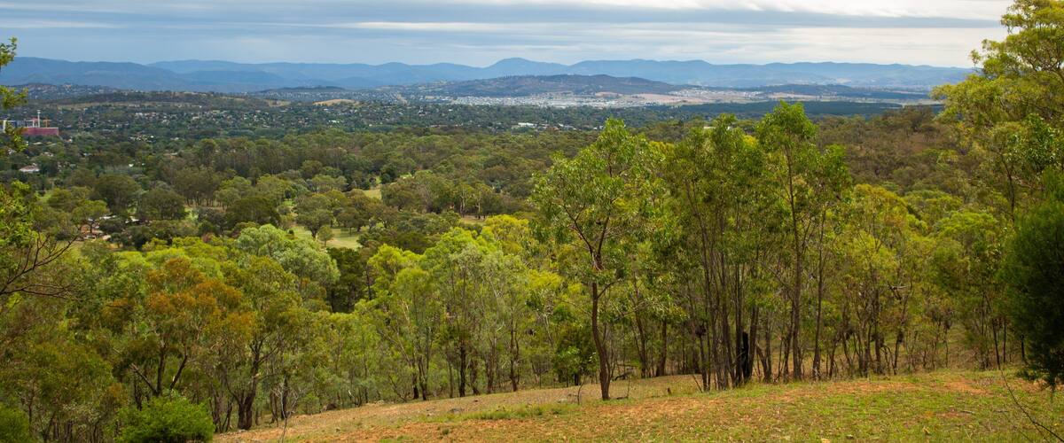 Red Hill featuring landscape views and tranquil scenes