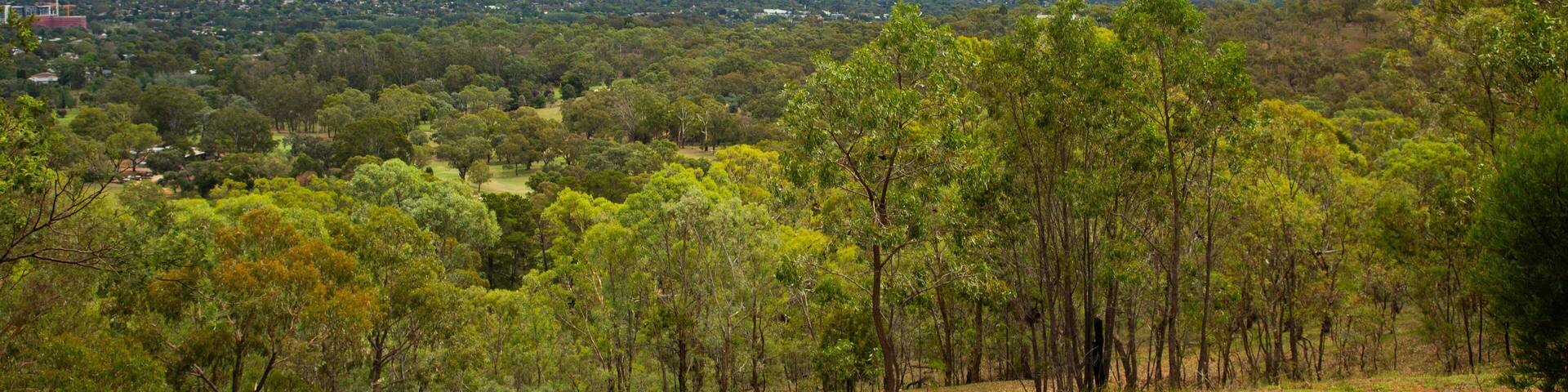 Red Hill featuring landscape views and tranquil scenes