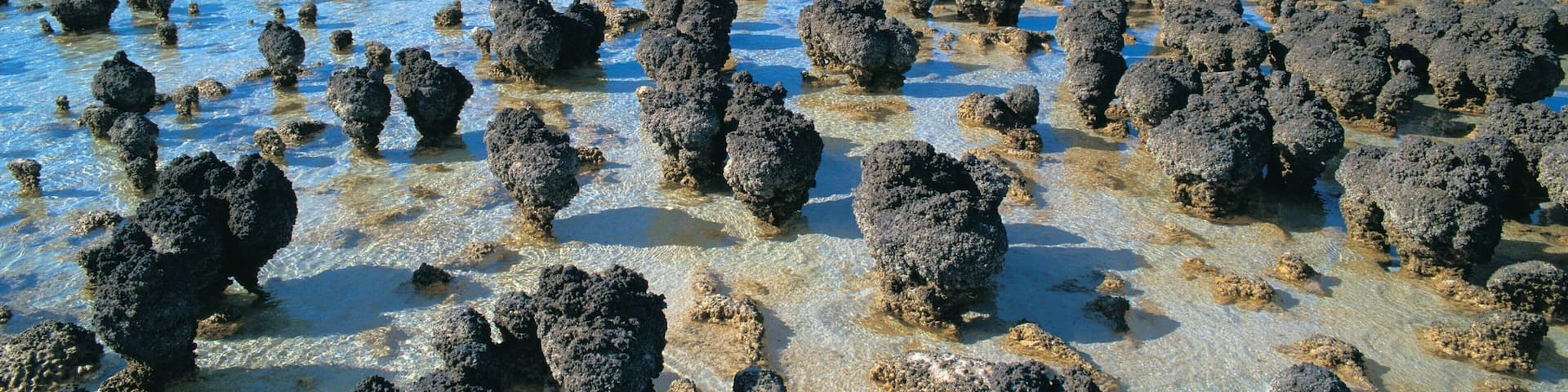 A beach with numerous small, rounded rocks scattered across the shallow water.