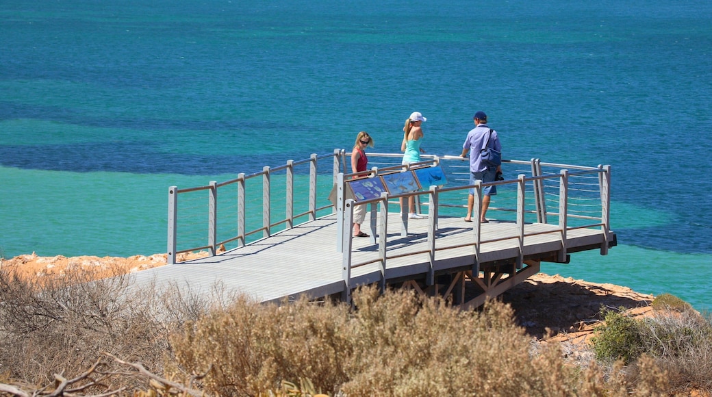 Shark Bay showing views as well as a small group of people