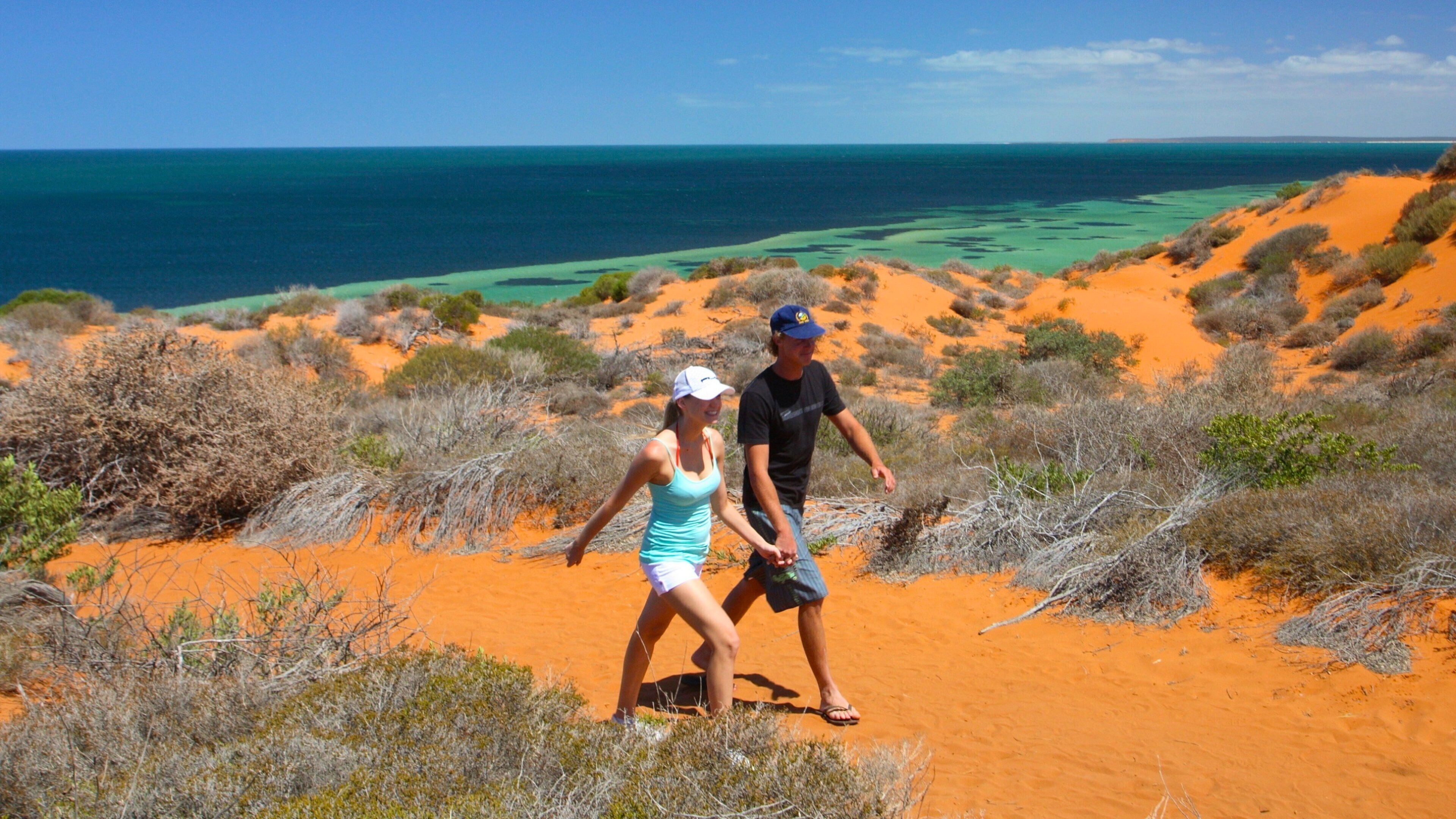 シャーク ベイ 表示 海岸線の眺め と ハイキングあるいはウォーキング 及び カップル
