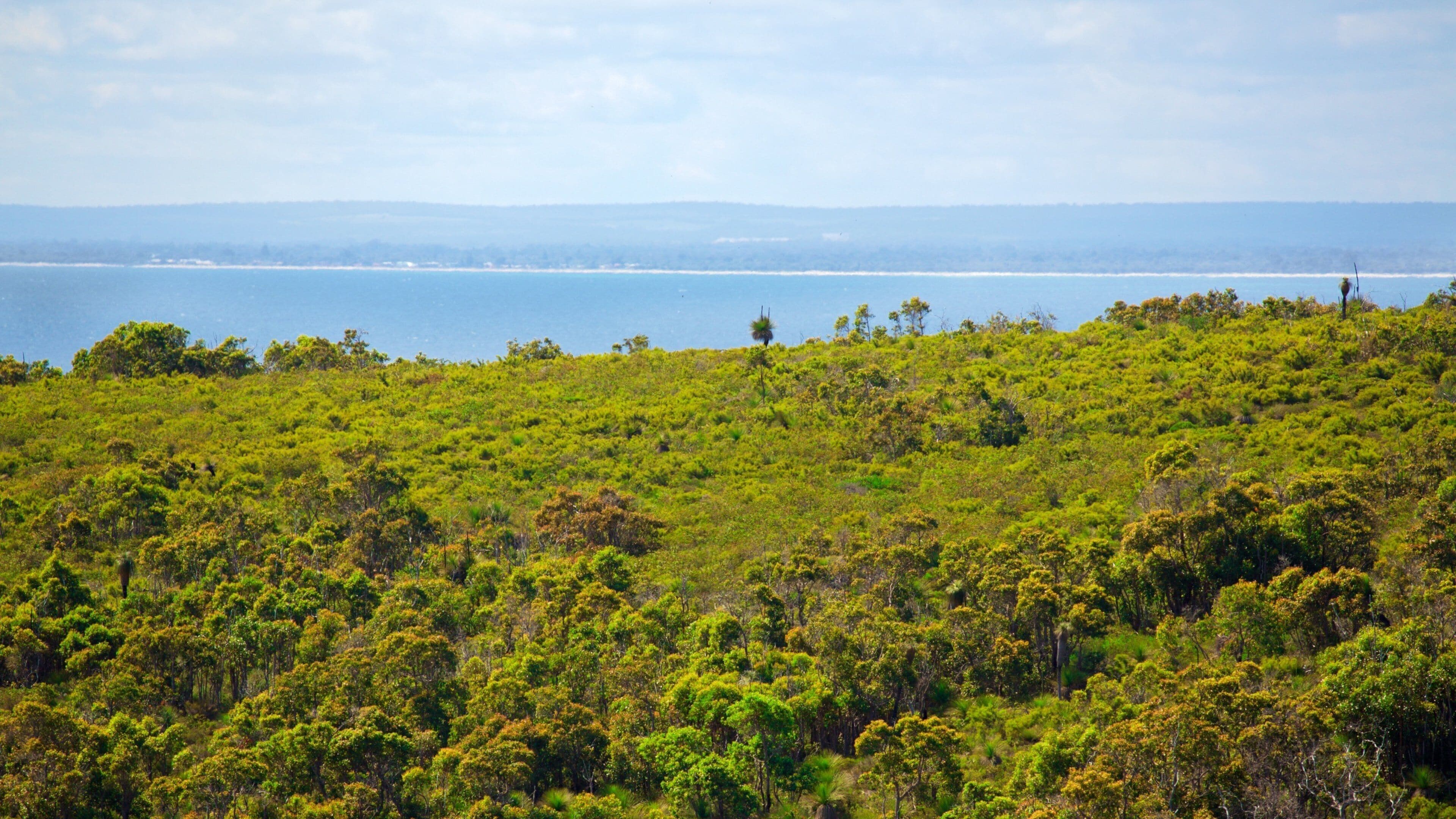 Naturaliste which includes general coastal views