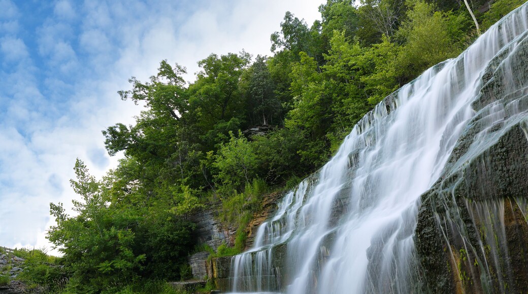 Hector Falls on a sunny morning. The waterfalls is located near Watkins Glen State Park in upstate of New York Finger Lakes region.