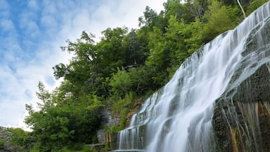 Hector Falls on a sunny morning. The waterfalls is located near Watkins Glen State Park in upstate of New York Finger Lakes region.