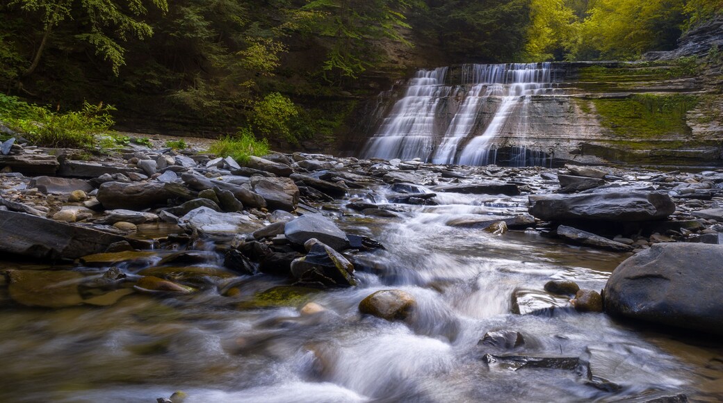 Stony Brook State Park, New York, United States