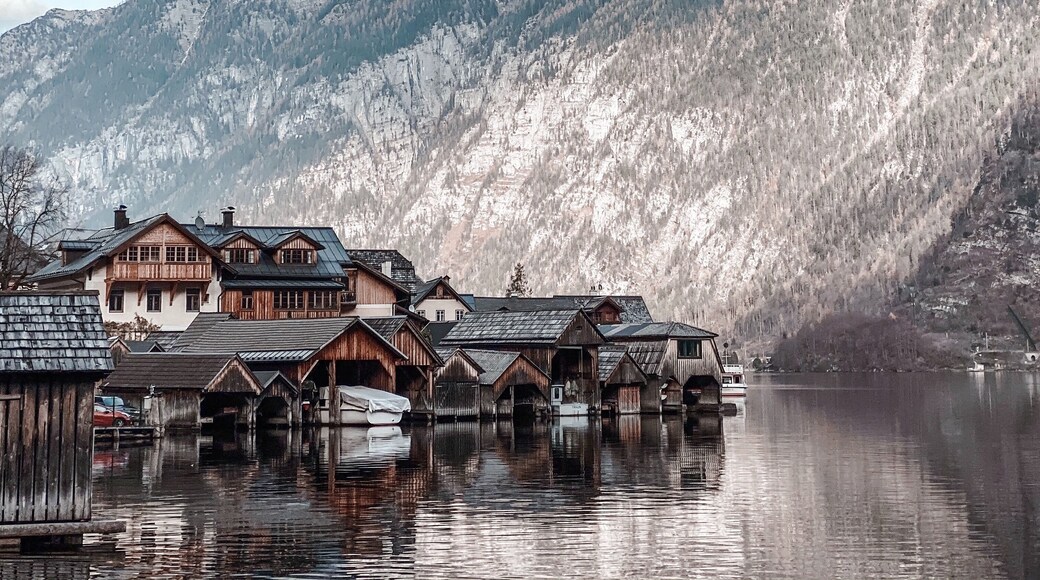 Go outside, See Hallstatt
#Trovember