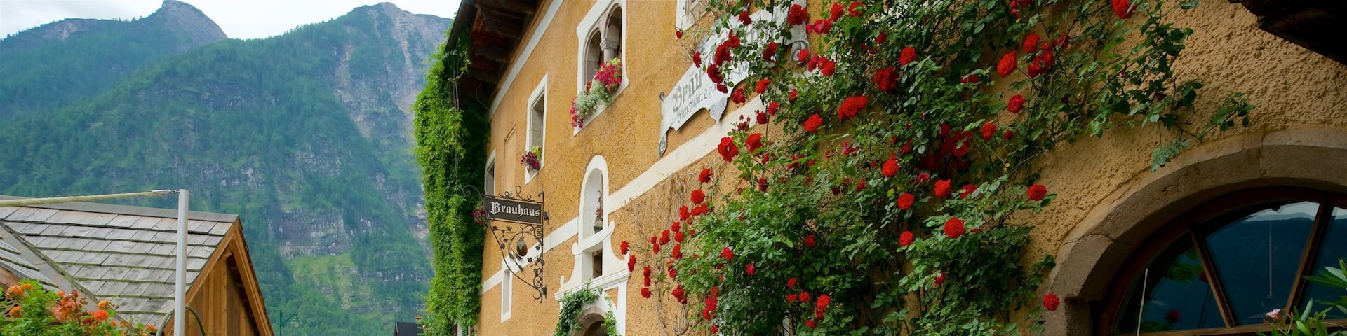 Hallstatt showing wildflowers