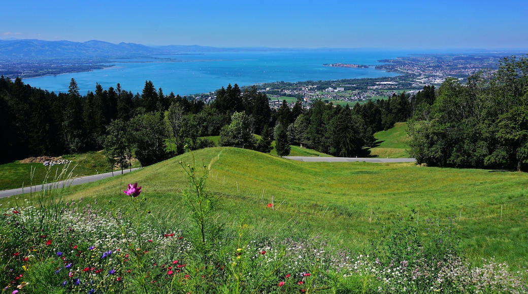 Bodensee, bei Bregenz-Lochau, Vorarlberg, Österreich