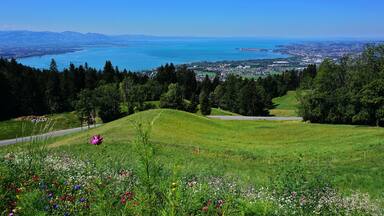 Bodensee, bei Bregenz-Lochau, Vorarlberg, Österreich
