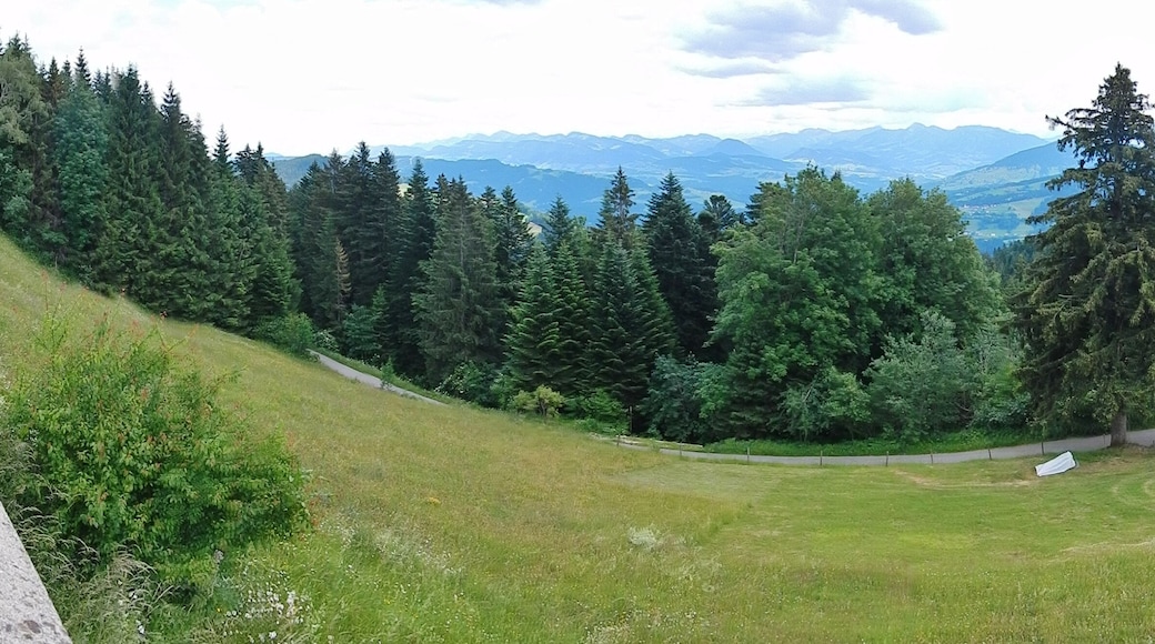Ausblick vom Pfänder