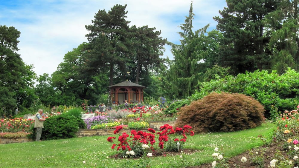 Ein Garten mit Laube, verschiedenen Blumen und hohen Bäumen.