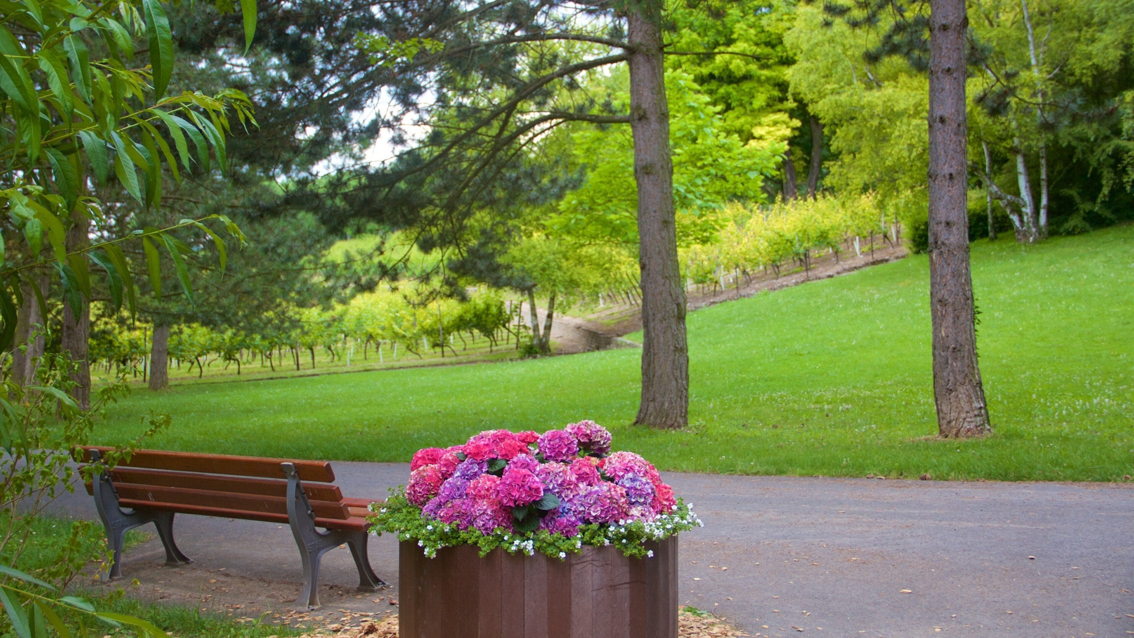 Lohberg featuring flowers and a park