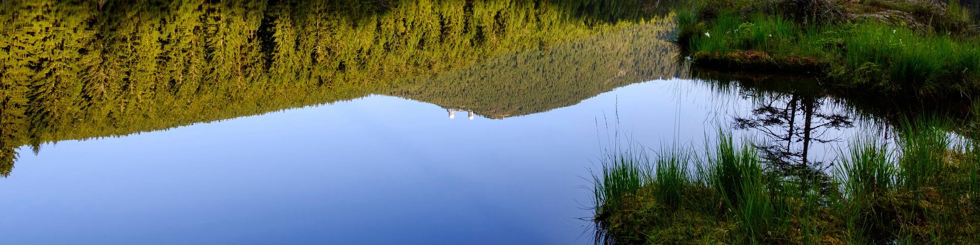 A calm lake reflecting a forested mountain range.