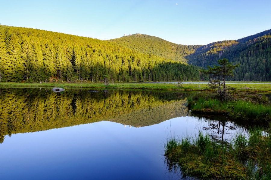 A calm lake reflecting a forested mountain range.