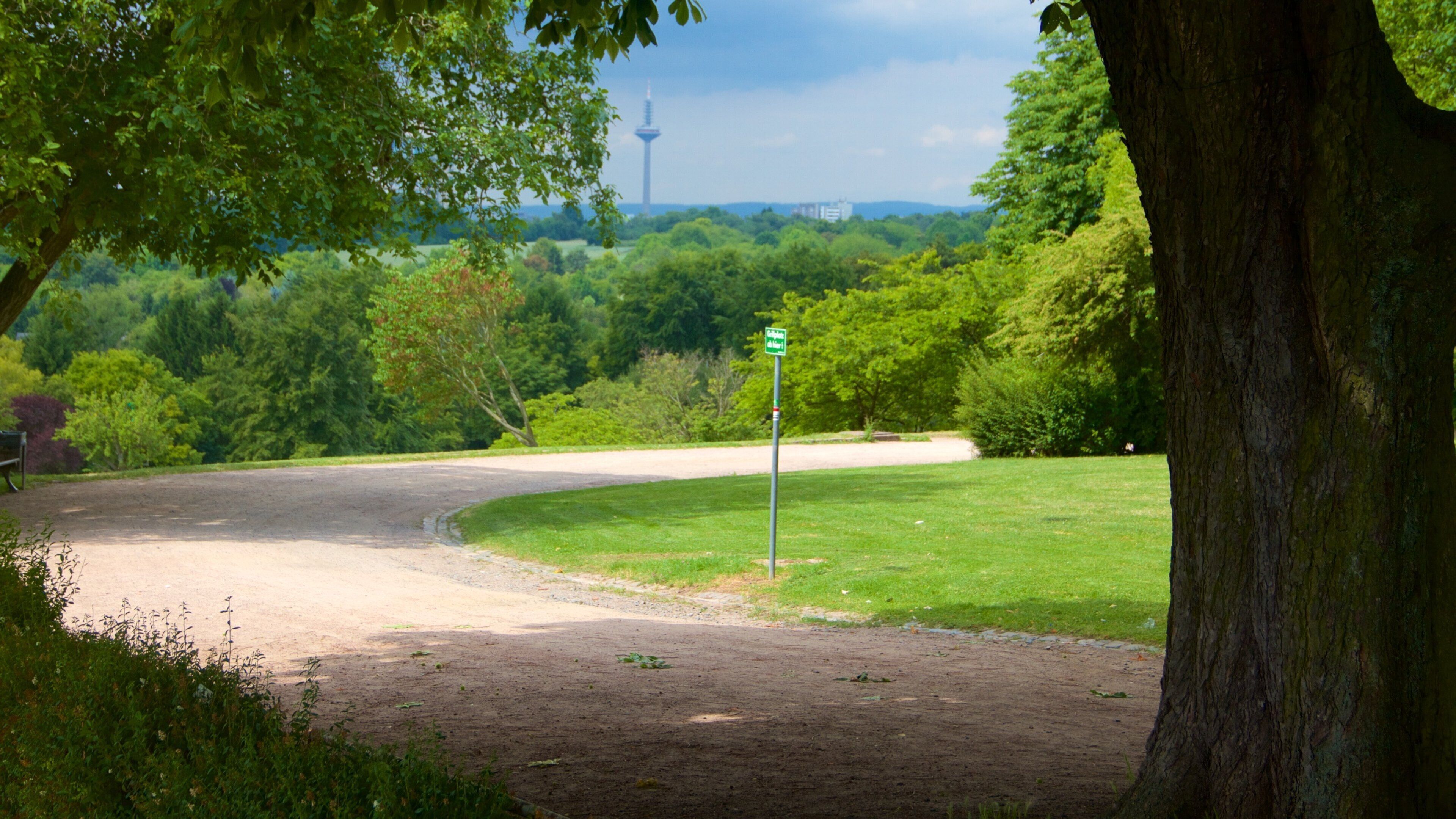 Lohberg which includes a park
