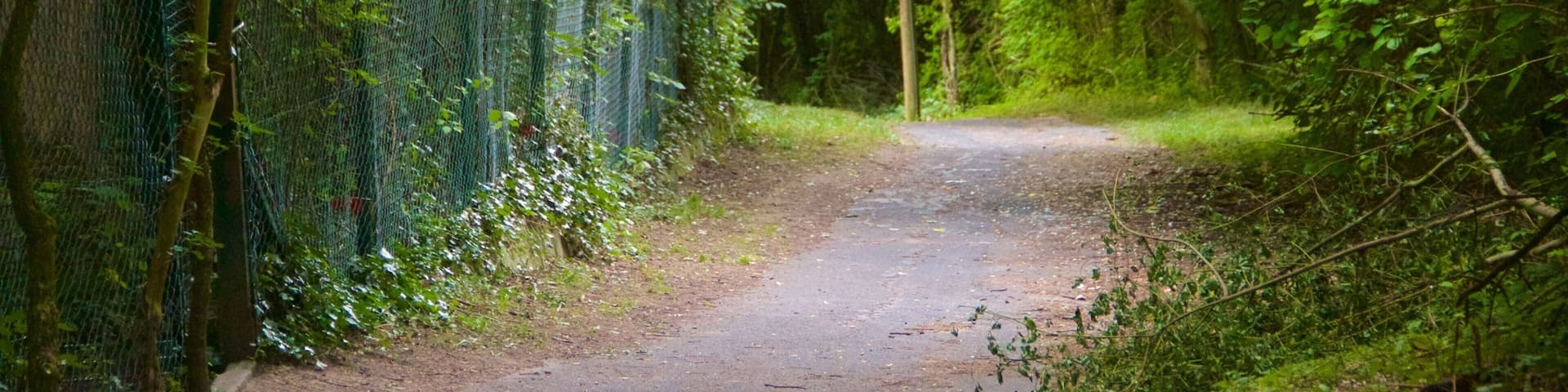 Lohberg showing a garden