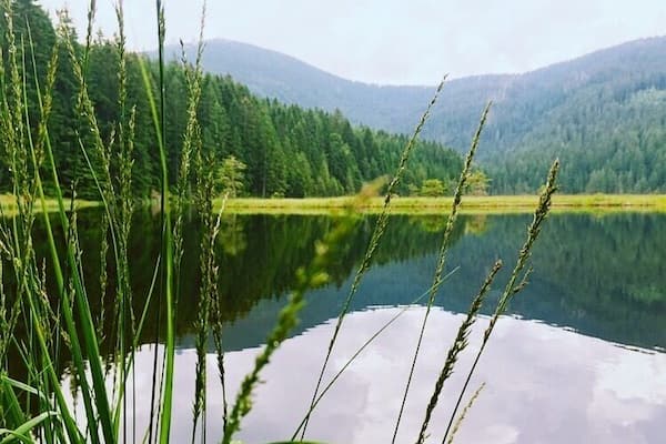 #arbersee #bodenmais #schwimmendeinseln #bewölkt #hiking #nature #bavarianforest #germany #bavaria #sea #mountain #trekking #aquatrove #green #cloudy
