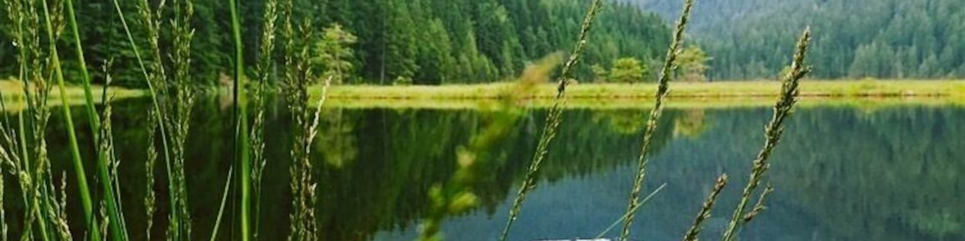 A calm lake surrounded by lush green forest and distant mountains.