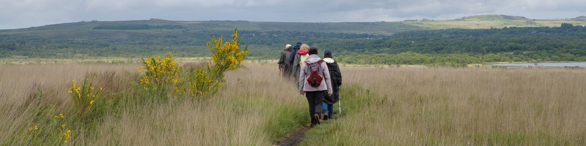 Groupe de randonneurs dans les Monts d'Arrée en Bretagne - France