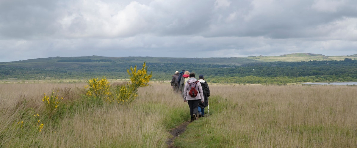A group of hikers walking on a narrow path through a grassy field with yellow flowers and a lake in the background.