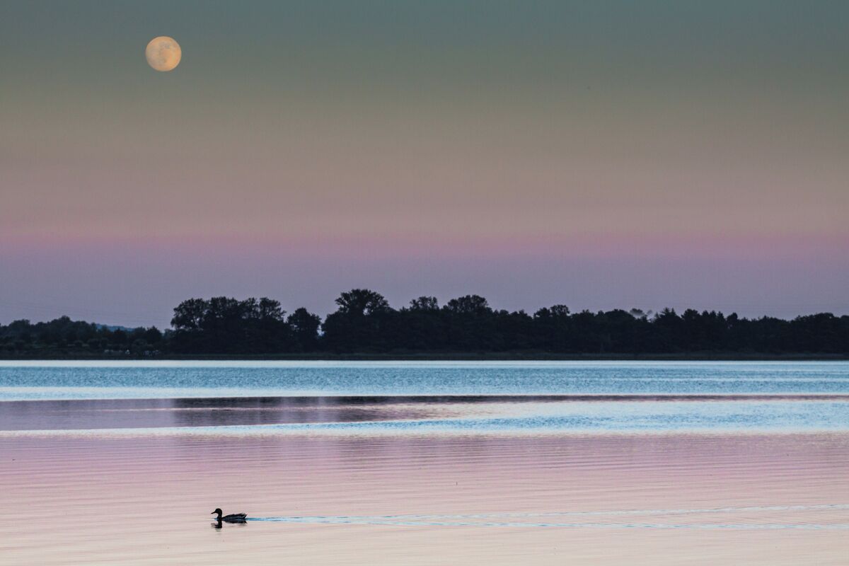 28802 Mergozzo VB, Italy