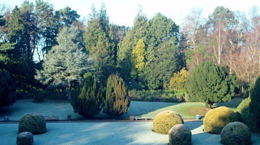 Sunken lawn, Heriot-Watt University Originally a croquet lawn when the gardens belonged to a private estate.