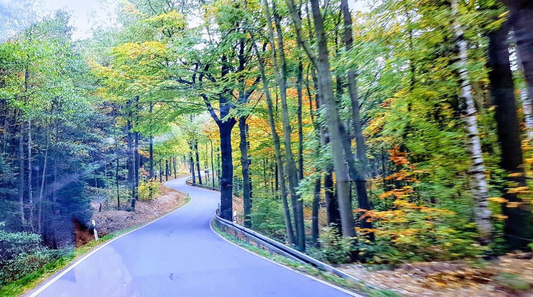 Bastei, Germany 21.10.2018