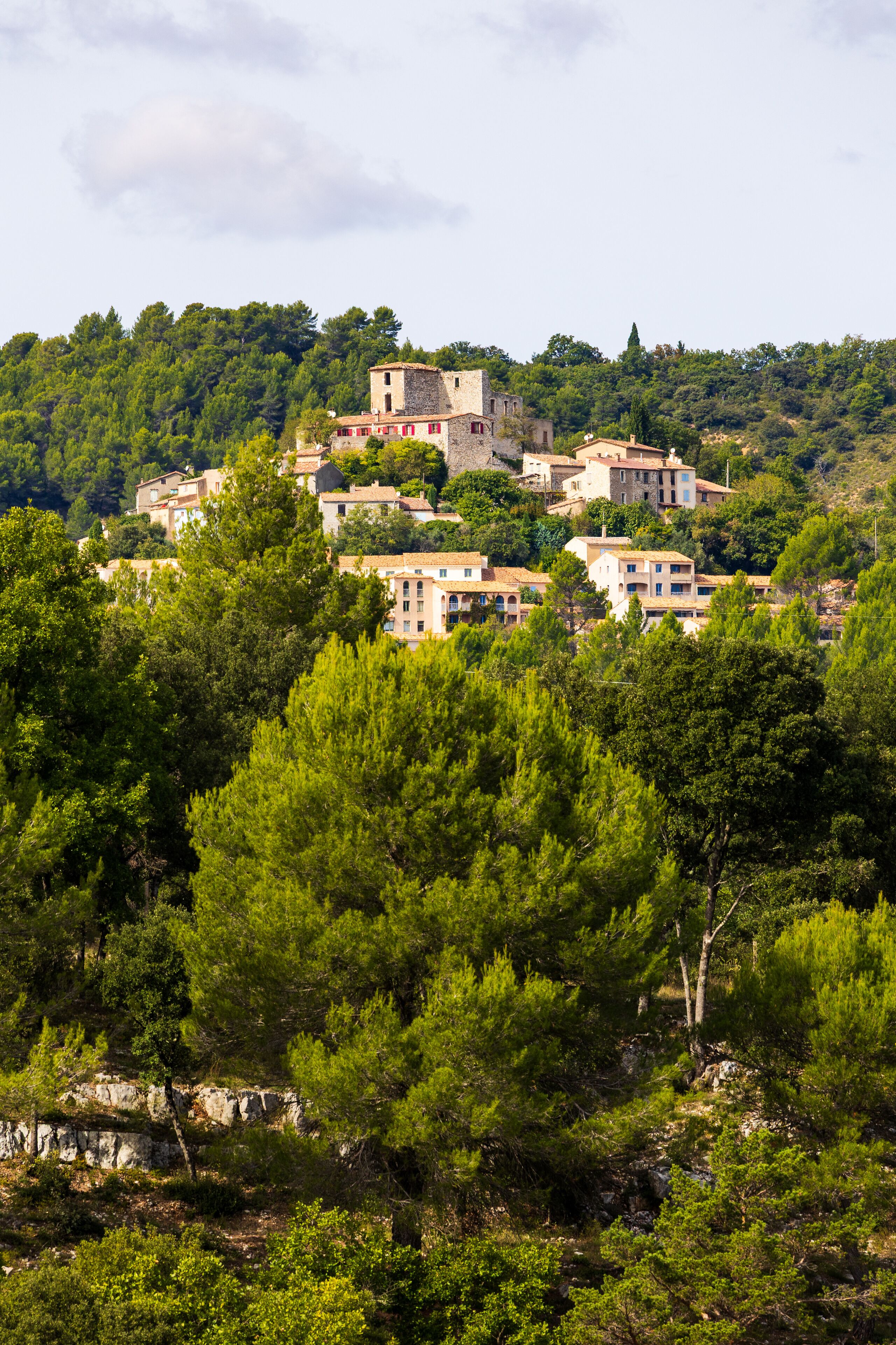 Hilltop Village of Montpezat Overlooking the Gorges du Verdon