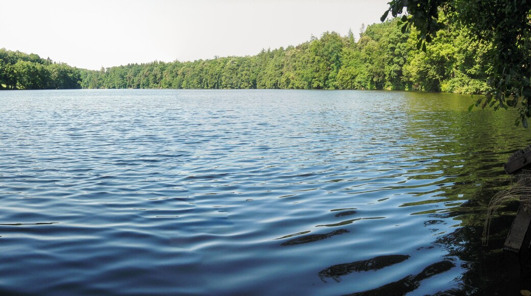 ウォード レイク