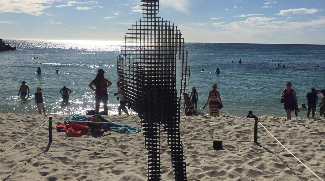 Sculptures by the see! A Perth event that has 1000s gathering every year to come and see these amazing pieces of art #stunningstulptures
#perth #cottesloebeach #summerdays
