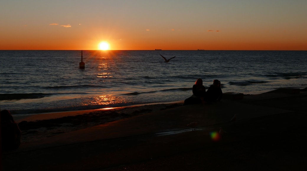 Great place to watch sunset in Perth.
- June 2016
