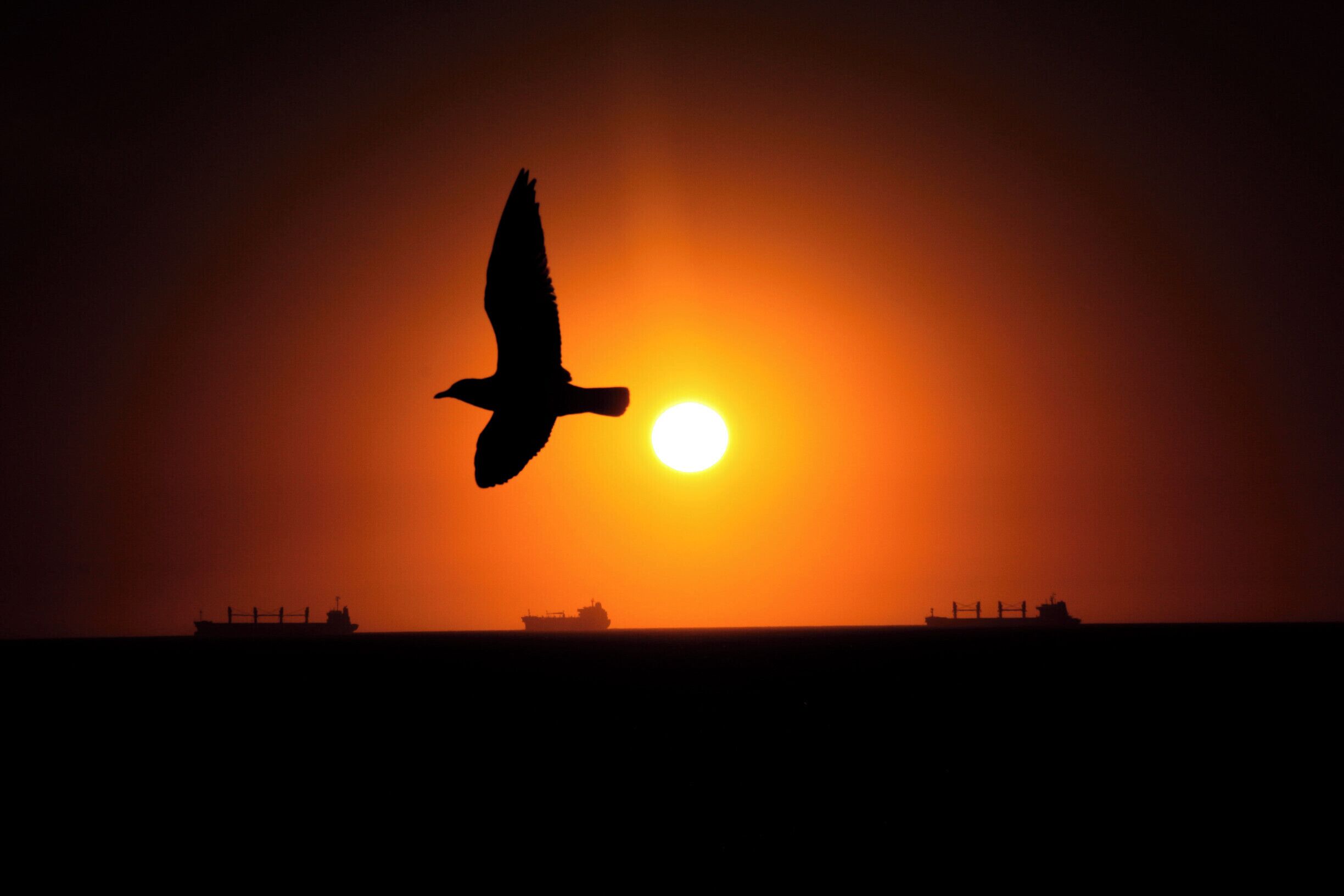 Go here at Sunset and grab a bag of Fish and Chips and a Beer! Very chilled and fun experience