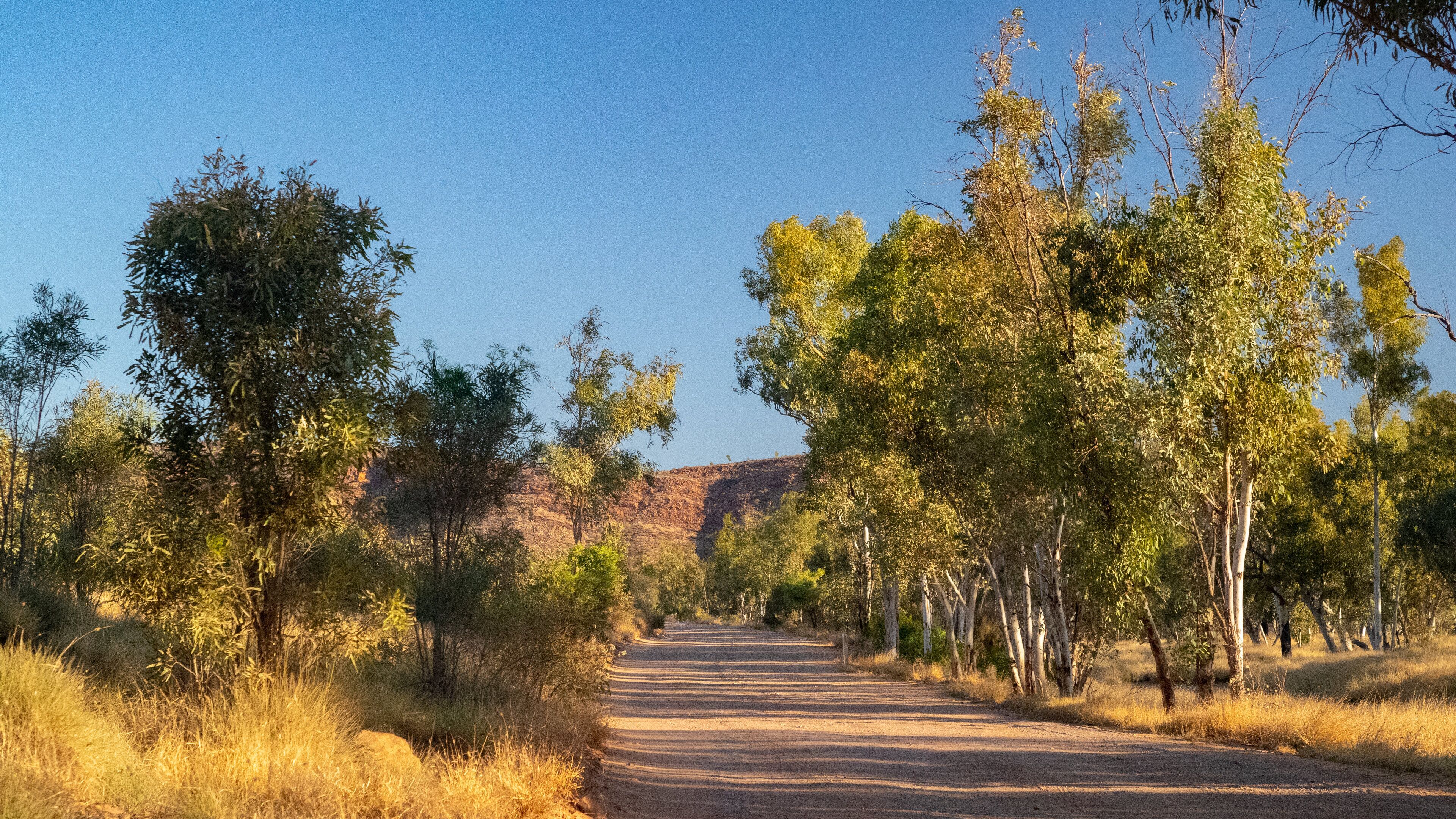 Tjoritja-West MacDonnell National Park featuring desert views and tranquil scenes