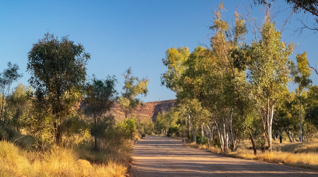 Tjoritja-West MacDonnell National Park featuring desert views and tranquil scenes