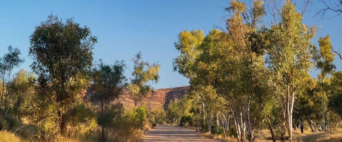 Tjoritja-West MacDonnell National Park featuring desert views and tranquil scenes