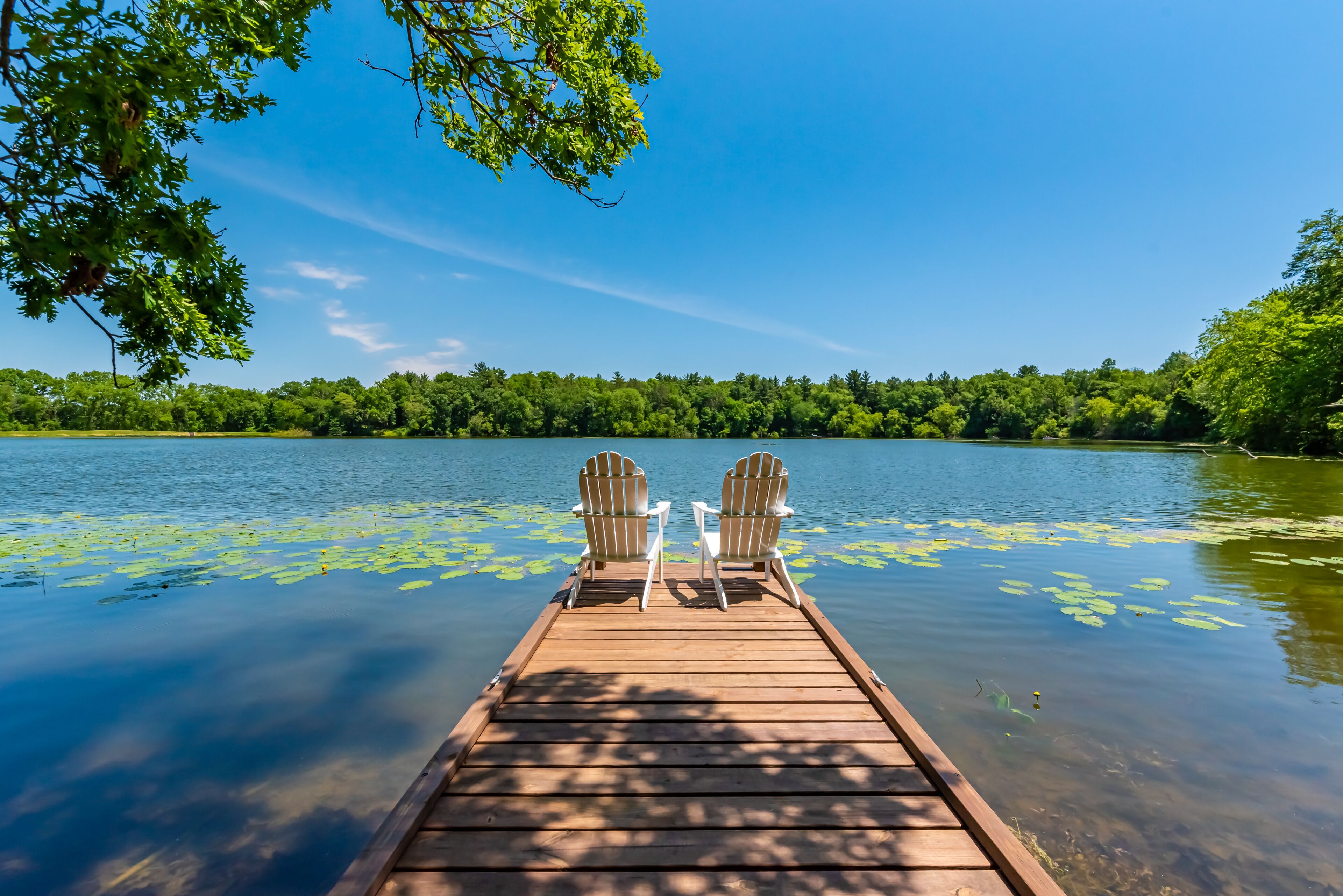 Pier on small lake with two white chairs. Featuring lilly pads, blue skies and tree lined shore.