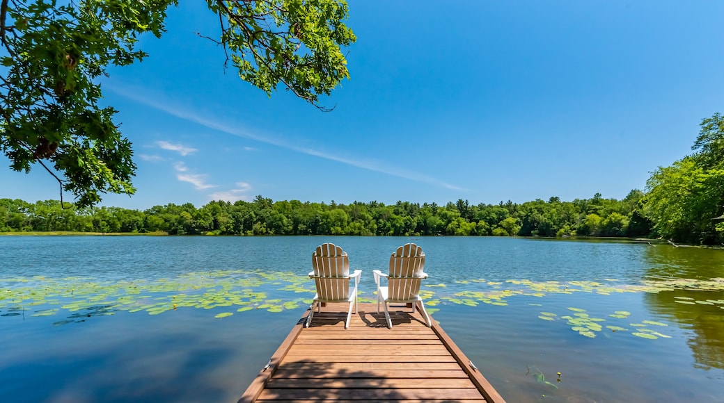 Pier on small lake with two white chairs. Featuring lilly pads, blue skies and tree lined shore.