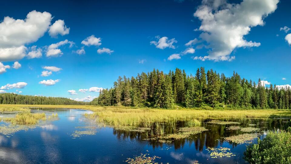 A calm lake surrounded by dense forest and a clear blue sky with scattered clouds.